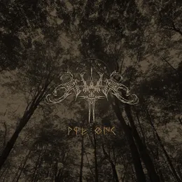 Aŕe teike von Seltar – Album Cover