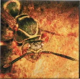 Mud Wasp von ASTRO – Album Cover