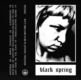 Wet Dreams for Platonic Friends von Black Spring – Album Cover