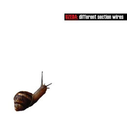 Different Section Wires von Uzeda – Album Cover