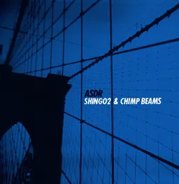 ASDR von Chimp Beams – Album Cover