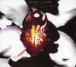 Cellophane Memories von David Lynch – Album Cover