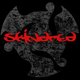 Falling Down von Skindred – Cover