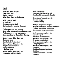 Star von Iceage – Cover
