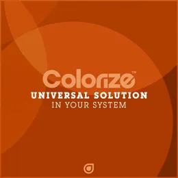 In Your System von Universal Solution – Cover