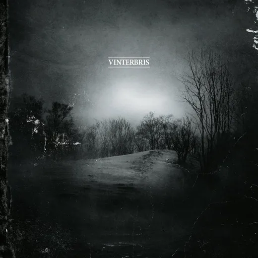 Vinterbris