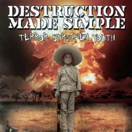 Terror Stricken Youth von Destruction Made Simple – Album Cover