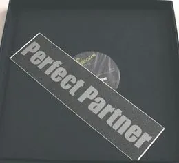 Perfect Partner von DJ Olive – Cover