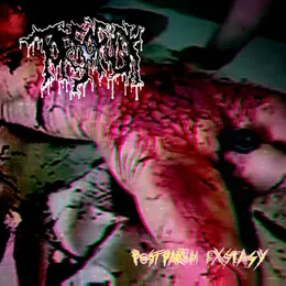 Postpartum Exstasy von Torsofuck – Album Cover
