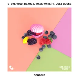 Bending von Steve Void – Cover