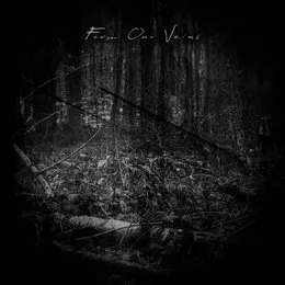 From Our Veins von Lost Inside – Album Cover