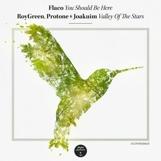 You Should Be Here / Valley Of The Stars