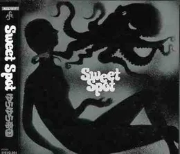 Sweet Spot von ゆらゆら帝国 – Album Cover