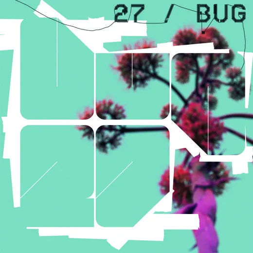 27 / Bug