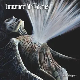 Pain Effulgence von Innumerable Forms – Album Cover
