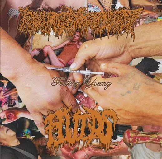 Feeling Young von Fluids – Album Cover