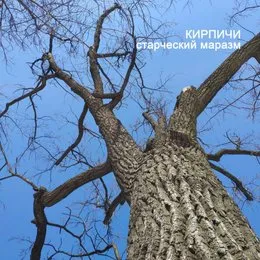 Старческий маразм von Кирпичи – Album Cover