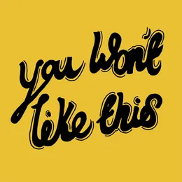 You Won’t Like This von WOLFS – Cover