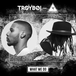 What We Do von TroyBoi – Cover