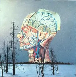 Songs for a Dead Pilot von Low – Album Cover