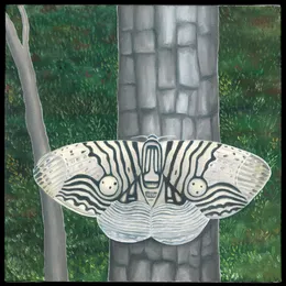Moths von Gate – Album Cover