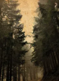 Zur ew’gen Ruh von Sturmpercht – Album Cover