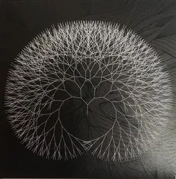 Early Shapes von Herba Mate – Cover