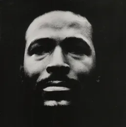 Vulnerable von Marvin Gaye – Album Cover