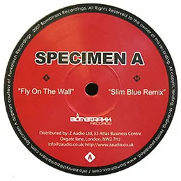 Fly on the Wall von Specimen A – Cover