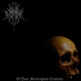 Of Your Meaningless Existence von Veins – Album Cover