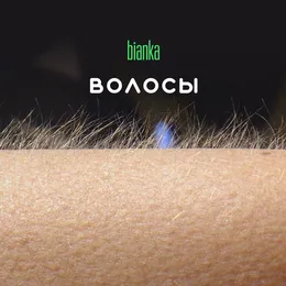 Волосы von Бьянка – Album Cover