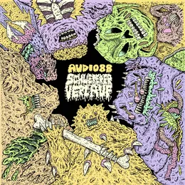 Schwererer Verlauf von Audio88 – Album Cover