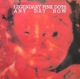 Any Day Now von The Legendary Pink Dots – Album Cover