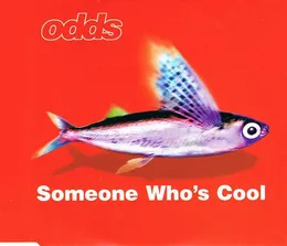 Someone Who's Cool von Odds – Cover