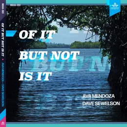 Of It But Not Is It von Dave Sewelson – Album Cover
