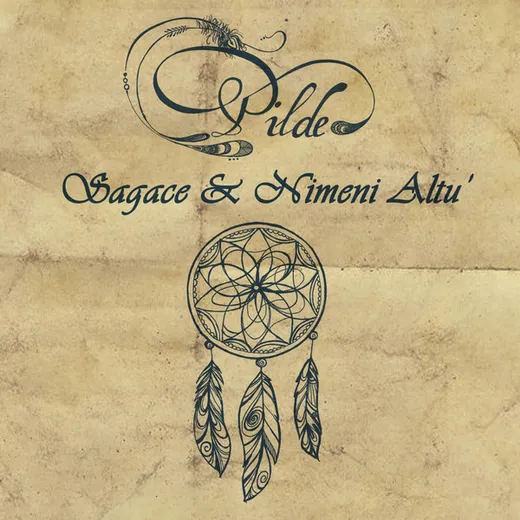 Pilde