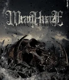 Fields of Nihilism von Wraithmaze – Cover