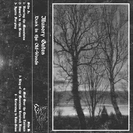 Dusk in the Old Woods von Illusory Gates – Cover