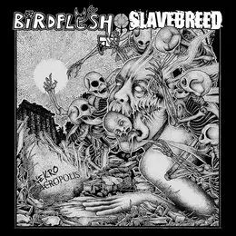 Nekroacropolis von Birdflesh – Album Cover