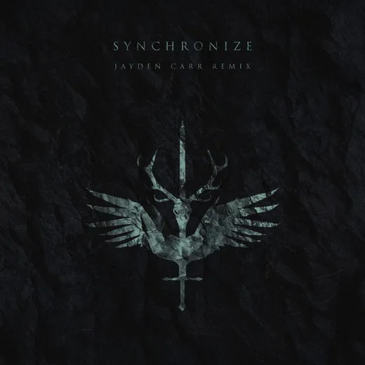 Synchronize (Jayden Carr Remix)