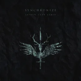 Synchronize (Jayden Carr Remix) von Jayden Carr – Cover