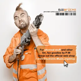 Die Brücke von Patenbrigade: Wolff – Cover