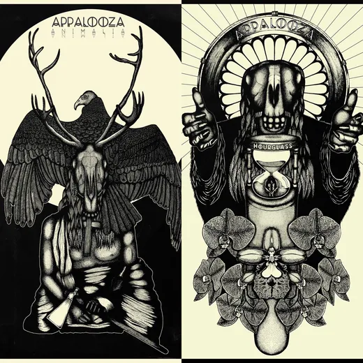 Animalia / Hourglass