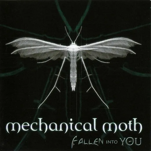 Fallen Into You