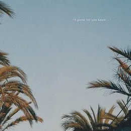 Let You Know (summer edit) von Y.V.E. 48 – Cover