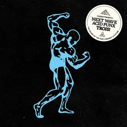 Next Wave Acid Punx TROIS von Curses – Cover