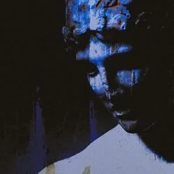 it lingers von fromjoy – Album Cover