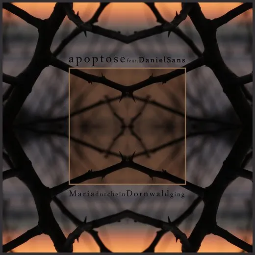 Maria durch ein Dornwald ging