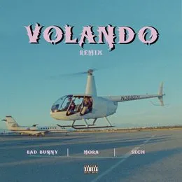 Volando (remix) von Mora – Cover