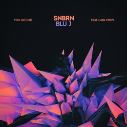 You Got Me von SNBRN – Cover